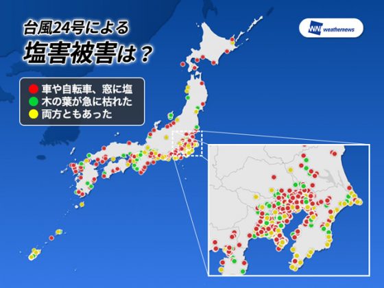 p4 1 e58fb0e9a2a824e58fb7e381abe38288e3828be5a1a9e5aeb3e8a2abe5aeb3efbc88e59bb3e78988efbc9ae382a6e382a7e382b6e383bce3838be383a5e383bc 560x420 - もうひとつの台風災害、「塩害」