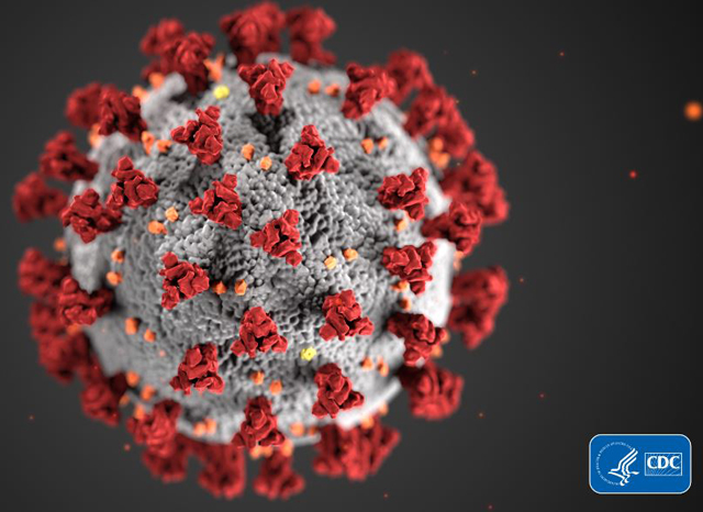 P2 1 CDC：コロナウイルスの超微構造形態画像（イラスト） - COVID-19と“インフォデミック”