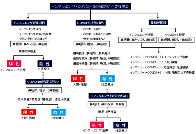 P3 4 インフルエンザ・COVID 19（新型コロナ）の鑑別が必要な患者（日本感染症学会資料より） - インフルエンザ×COVID-19（新型コロナ） <br>同時流行に備える