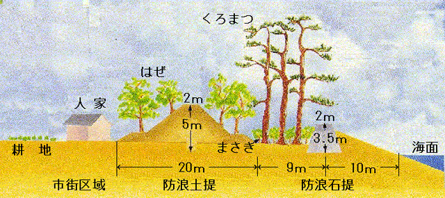 P4 1 広村堤防横断図（気象庁HPより） - 「稲むらの火」と防災教育