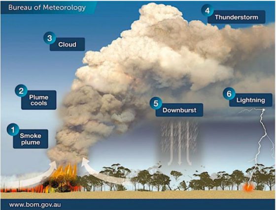 「火災積乱雲」が形成される仕組み（カナダ・ヴィクトリア州気象局資料より）