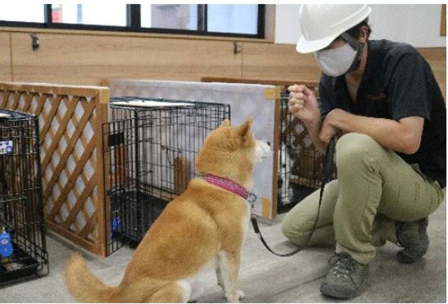 P6 2b 動物避難所開設訓練 - ペット防災カレンダーを作成、<br>同行避難を促す獣医師たち