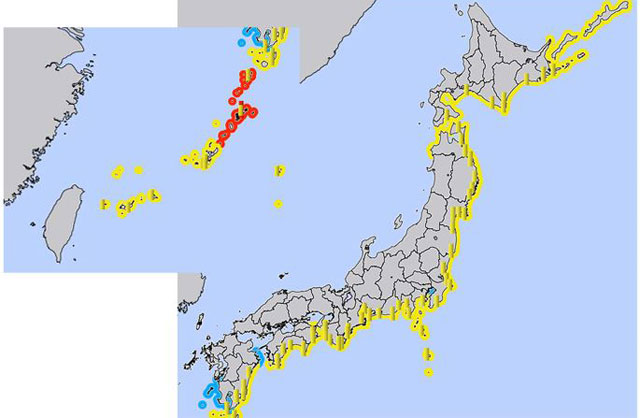 P4 1 気象資料より「津波観測値（1月16日01時18分発表／01時17分現在）」 - 海外大噴火津波―<br>気象庁の当面の対応