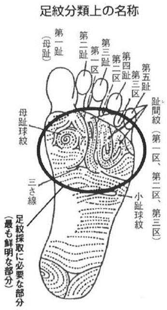 P4 2 足紋分類上の名称（全国足紋普及協会資料より） - 被災者身元確認　最後の一人まで