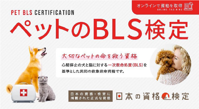 P6 1 ペットの「BLS検定」 - ペットBLS検定、始まる<br>　9月9日「ペットも救急の日」も