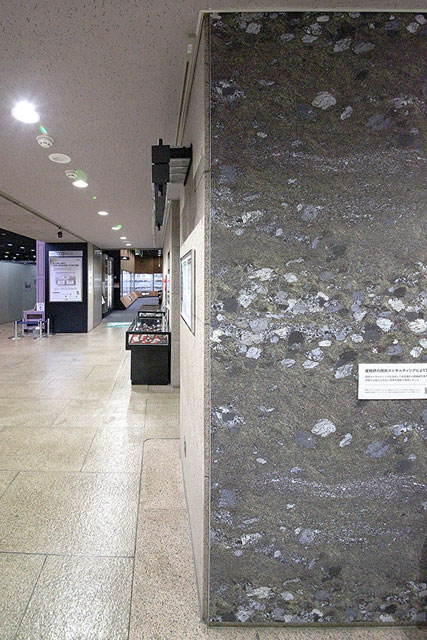 P6 1 地質標本館で実寸の壁紙を展示（5月末まで） - 5月10日「地質の日」<br>“地質インテリア（壁紙）”を味わう
