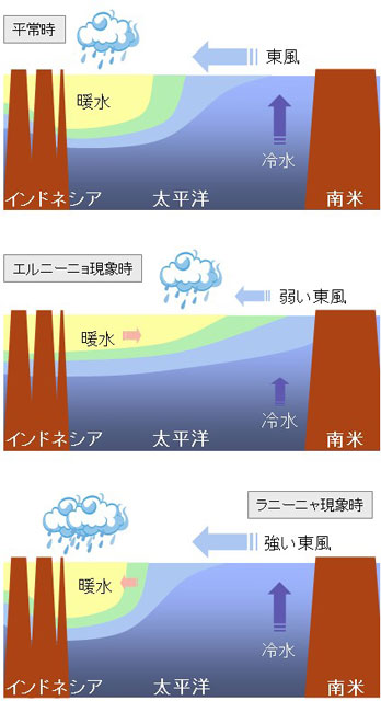 P2 2 エルニーニョ／ラニーニャ現象に伴う太平洋熱帯域の大気と海洋の変動（気象庁資料より） - スーパーエルニーニョ現象が<br>自然災害多発をもたらす？…