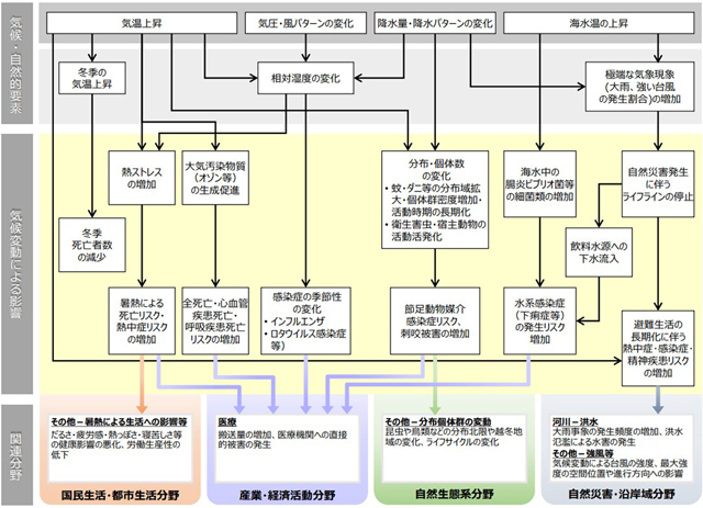 P1 気候変動により想定される影響の概略図（健康分野） - COP28の「健康の日」<br>気候変動に健康リスク