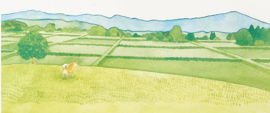 image カバー装画：さいとうゆきこ（裏表紙より） - 齋藤徳美・著<br>『岩手・減災 近年の足跡』<br>新刊