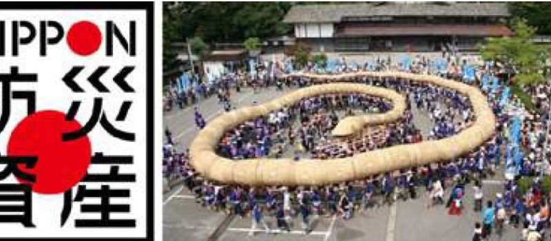image NIPPON防災資産ロゴマークと新潟県関川村「えちごせきかわ 大したもん蛇まつり」 800x350 - 「NIPPON防災資産」ガイド