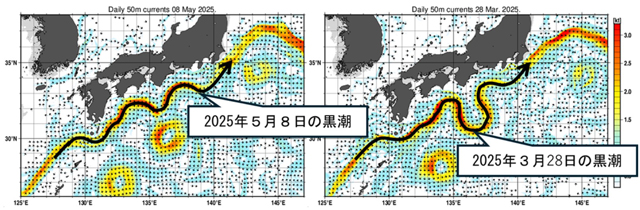 P3 1 左図は5月8日、右図は黒潮が蛇行している3月28日の深さ50mの海流分布図（単位：ノット／気象庁資料より） - 黒潮大蛇行 終息か<br>気象庁 さらに監視を継続