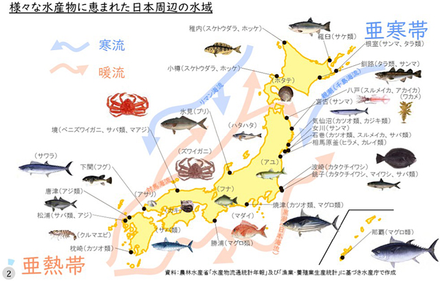 P3 4 様々な水産物に恵まれた日本周辺の水域（水産庁資料より） - 黒潮大蛇行 終息か<br>気象庁 さらに監視を継続
