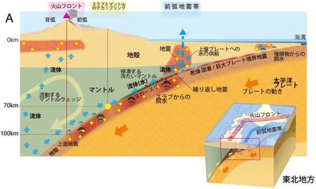 新たな地震帯の発見 P5 1 東北地方での地震活動と水の移動に関する模式図(東京大学・内田直希教授提供) - 新たな地震帯の発見